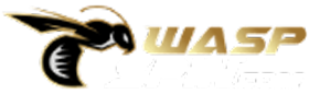 Waspspin55 แหล่งรวมเกมเดิมพันที่ครบวงจร ครบวงจรที่ดีที่สุด2025